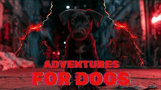 Dog TV Virtual Nature Adventures for Curious Indoor Dogs Everywhere