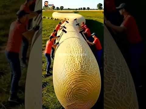 rescue Nile cow from giant log #animals #funny #shorts