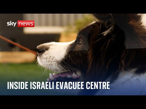 Support dogs and specialist therapy - inside a centre for Israeli evacuees l Israel-Hamas war
