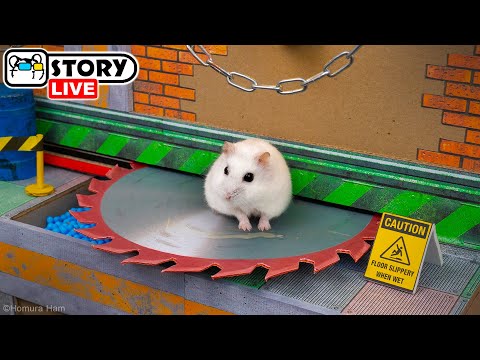 Epic Hamster Escape – Run, Dodge & Survive the Maze! 🐹 Homura Ham Pets