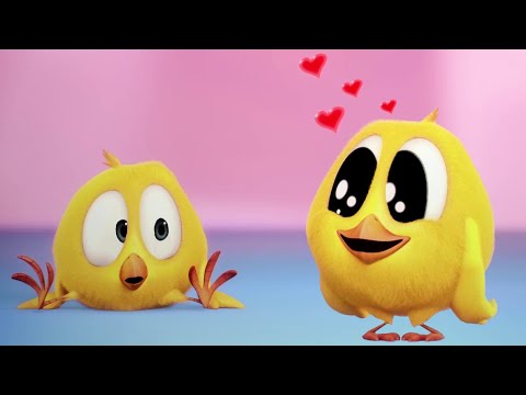 ¡Chicky está enamorado! ♥️ ¿Dónde está Chicky? | Dibujos Animados para Niños