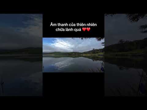 Âm thanh sáng sớm Hồ Tuyền Lâm - Đà lạt trong chuyến câu cá cắm trại 3 ngày 2 đêm #ducauky #camtrai