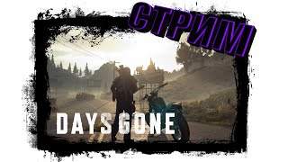 Days Gone ► Стрим ► Сложный режим II #5