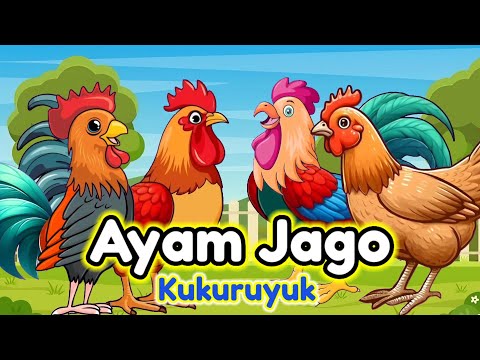 Lagu Anak 🇮🇩 Kuku Kukuruyuk - Lagu Ayam Jago - Ayam Berkokok - Lagu Anak Anak Terbaru