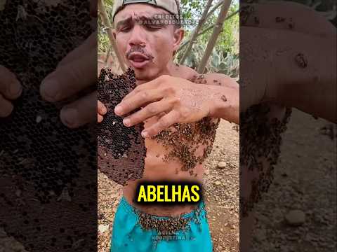 As 3 pessoas que ABELHAS e vespas respeitam 😱 #abelhas #curioso #shorts