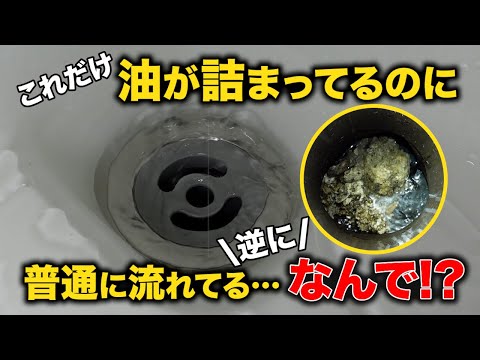 あれ？桝にはめちゃでか油の塊！？これは珍しい油の形成され方だ！【花のお掃除 #333】