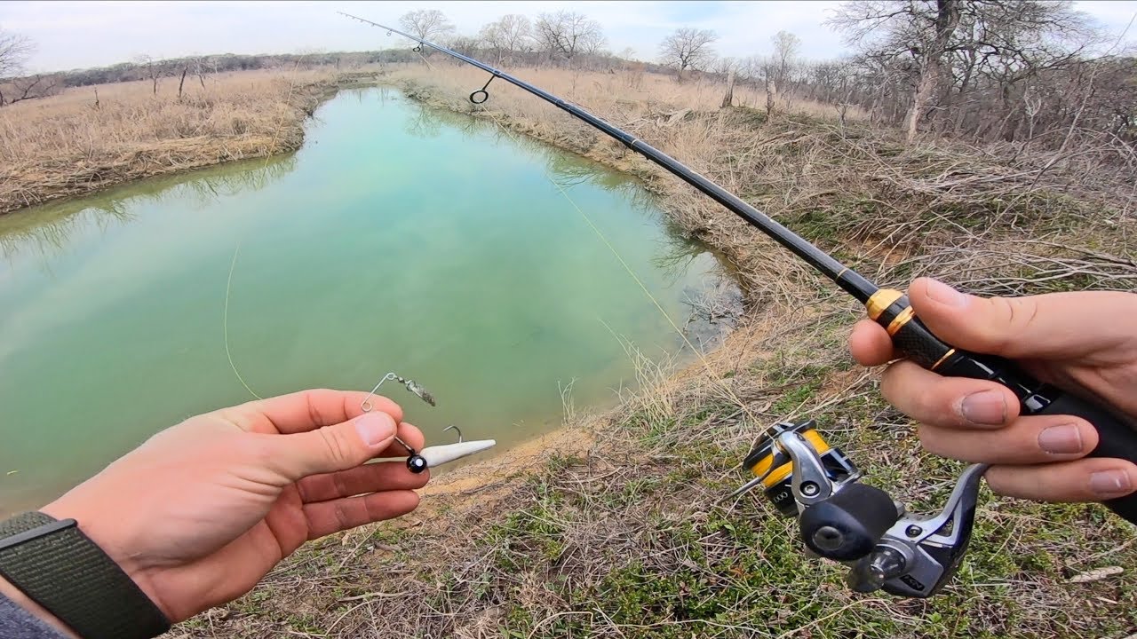Creek Fishing for White Bass THEY ARE SPAWNING!