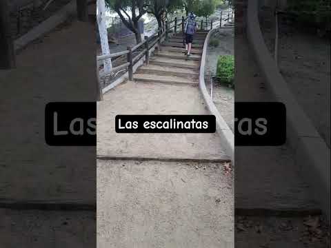 #ms#turismo #escslinatas