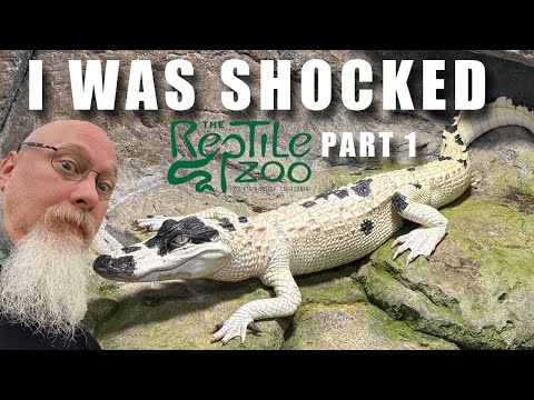 My visit to Prehistoric Pets the home of Jay Brewe I was invited to speak at a conference in California last January and I asked my host about the oppo