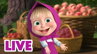 🔴 LIVE 📺 玛莎和熊 👱‍♀️🐻 今天天气真好! 🐧🦕 Masha and the Bear 🌟 儿童动画片