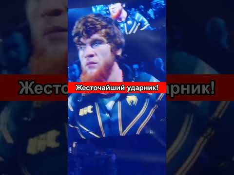 Джо Роган про Шару Буллета и драку в ТЦ #shorts #шарабуллет #ufc294 #исламмахачев #хамзатчимаев