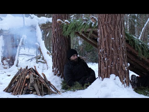 Overnight in the Winter Woods. Building a Primitive Survival Shelter. Meat on Fire