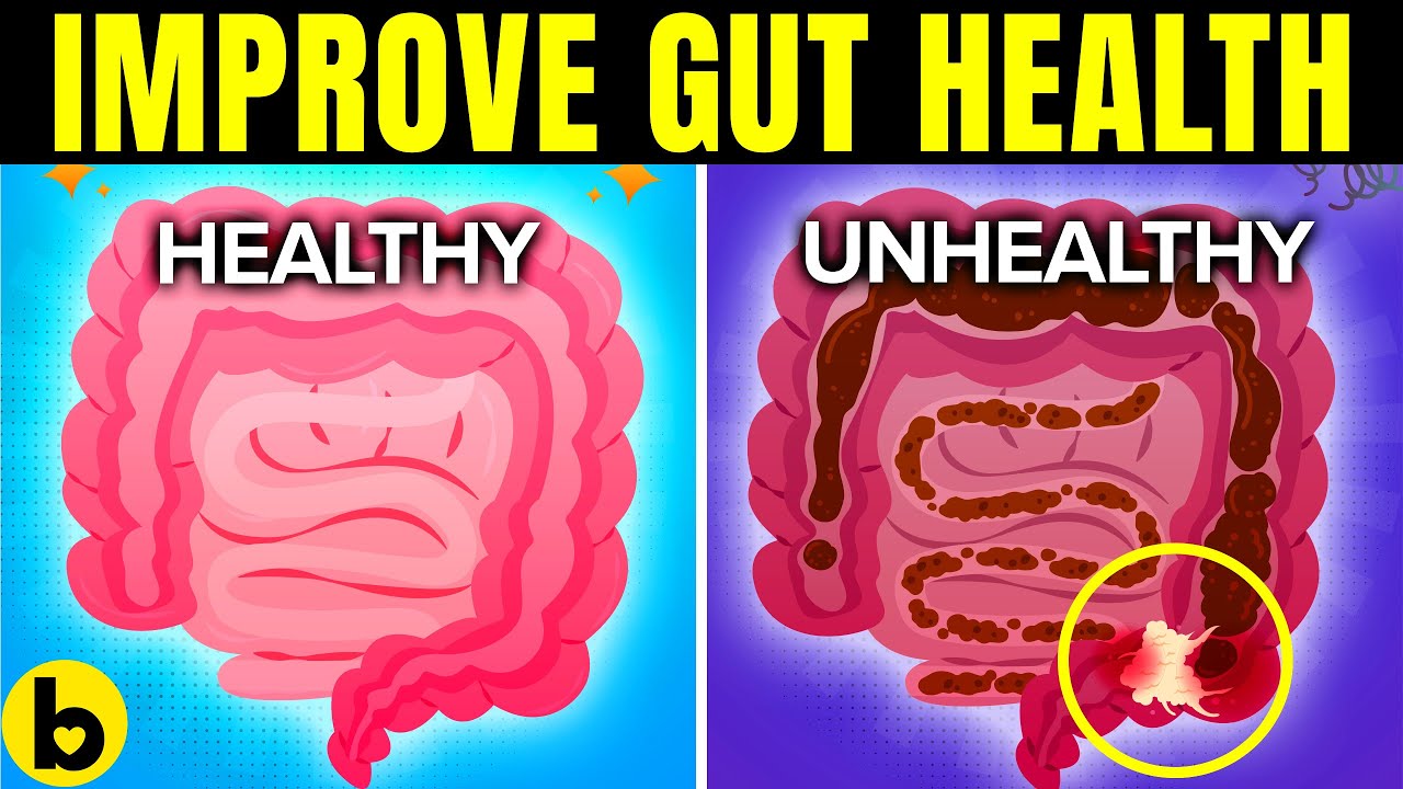 11 Healthy Ways To Improve Gut Health Naturally￼