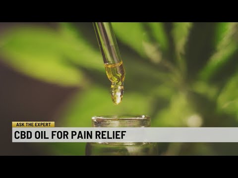 YouTube video thumbnail: Ask the Expert: CBD oil for Pain Relief