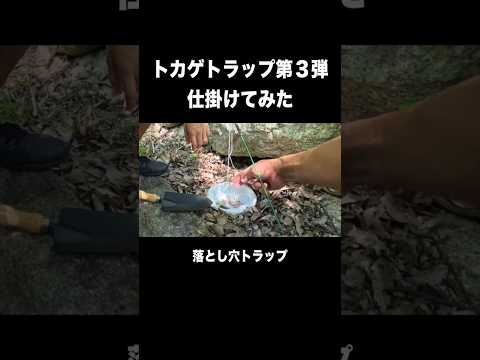 【トカゲ獲り】トカゲの落とし穴トラップが完成したので捕獲できるかやってみた。#shorts #トカゲ #爬虫類 #検証 #実験