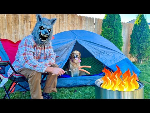 Wolf Surprises Puppy with Camping Trip!