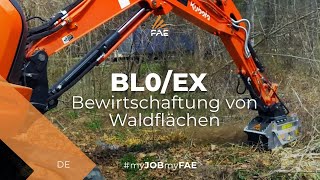 Video - FAE BL0/EX - Forstmulcher FAE BL0/EX mit einem Kubota Bagger