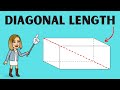 Understanding Diagonals in Rectangular Prisms