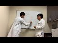 Rods and Cones in Vision