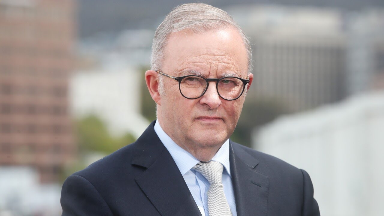 Albanese crossed a ‘dangerous line’ with his own leadership now ‘in question’