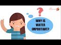 Understanding the Importance of Water