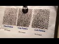 Fingerprint Patterns and Characteristics