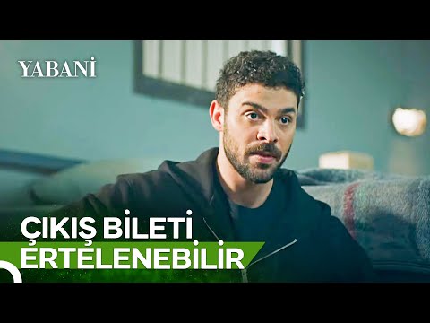 Yaman Ortalığı Birbirine Kattı! | Yabani 49. Bölüm