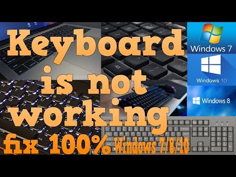 keyboard not working windows 8