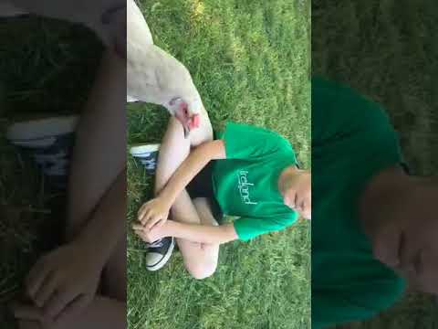 Fan mail opening Live with Mason And Love Bird (Spring 2018)