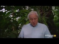 Evolutionary Adaptations in Vision and Plants