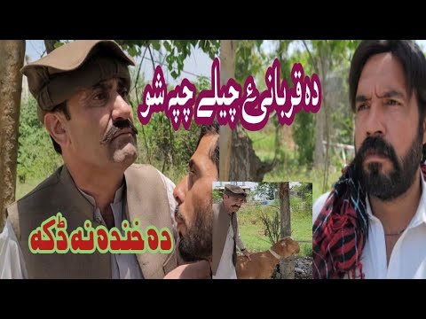 Mr Sheen Comedy Drama Da Qurbany Chely Chpa Sho