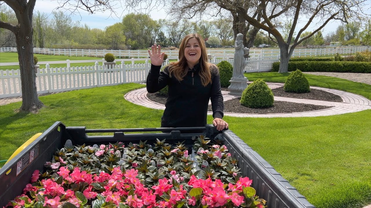 Planting Begonias & Impatiens!