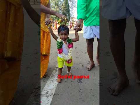 #காரைக்குடி #முத்துமாரியம்மன் #குட்டீஸ் #பால்குடம் #trendingshorts #viralvideo # karaikudi