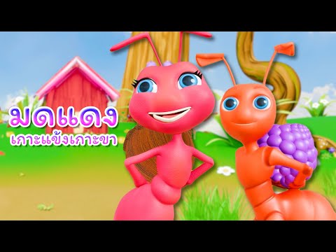 เพลงมดแดงเกาะแข้งเกาะขา I WeKidsSmile Song