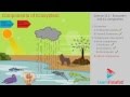 Ecosystem Components and Roles