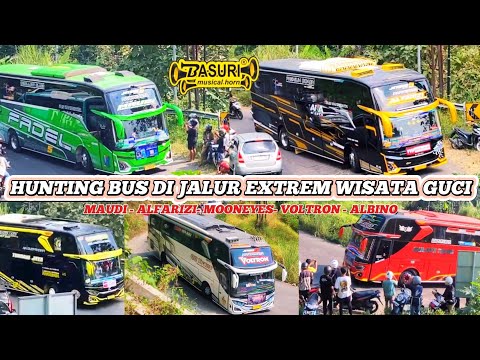 FULL TELOLET BASURI !! Hunting Bus di Jalur EXTREME Guci Tegal || Full Bus Artis