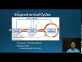 Carbon Cycle and Matter Conservation