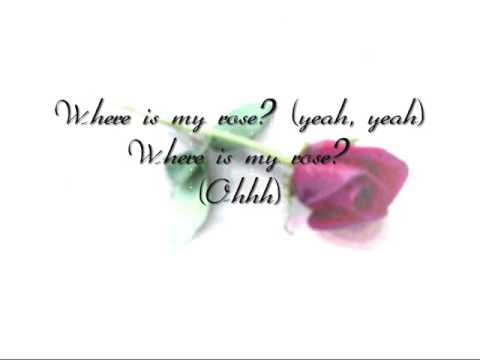 NLT - Where Is My Rose (with lyrics!)
