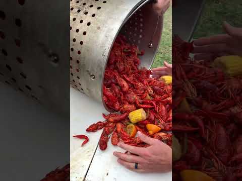 Crawfish!!! Swamp People!!! Louisiana Life!!