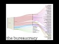 U.S. Government and Political Roles