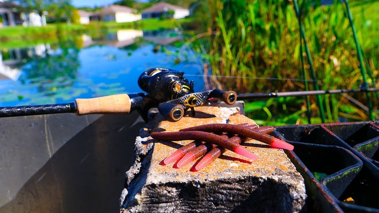 Fishing Subdivision Pond with Interesting NEW worms!