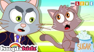 🔴 LIVE - Johny Johny Yes Papa, Eating Sugar? | HooplaKidz Classics | Non-Stop 24/7 Kids Songs