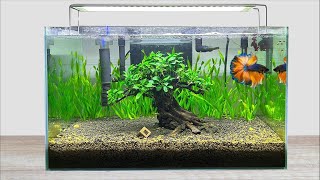 DIY Planted Aquascape Update