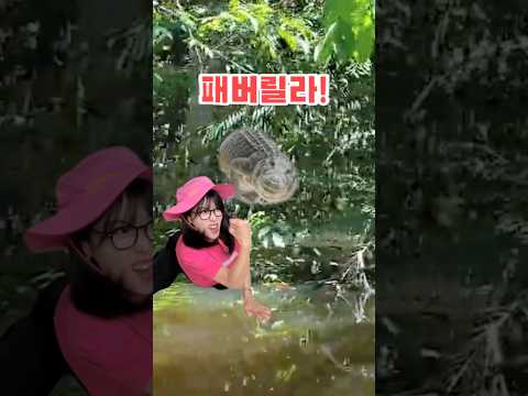 악어떼 흑화버전🐊ㅋㅋㅋ