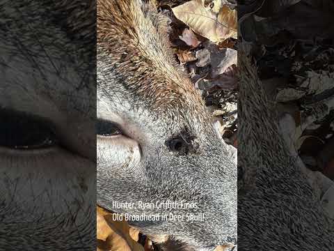 You Won't Believe What Hunter Ryan Griffith Discovered in a Deer Skull!