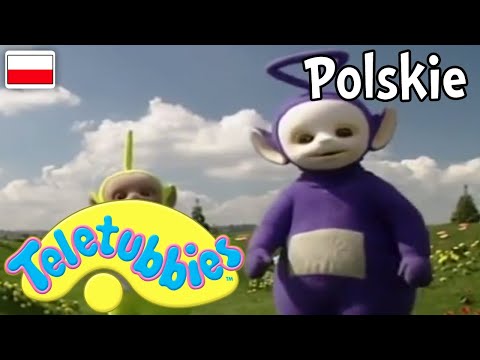 Teletubisie Po Polsku - 105 DOBRA JAKOŚĆ (Pełny odcinek)