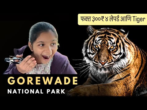 ताडोबा नागपुर मध्ये tiger safari टिकिट्स नाही भेटत तर इकड़े नक्की भेट द्या । Gorewada International