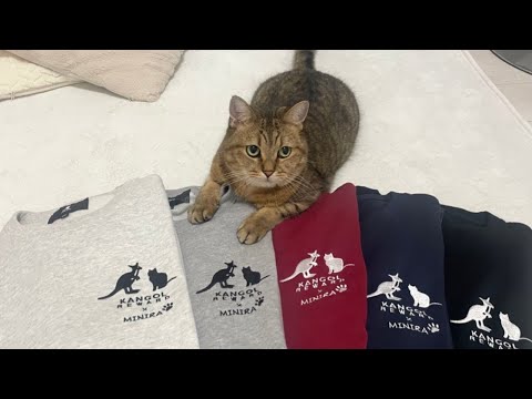 みにら君が有名なブランド様とコラボしたらしいぞ…