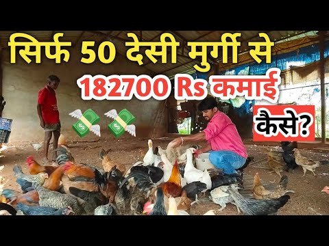 50 देसी मुर्गी से 182000₹ कमाई 💸 Desi Murgi Palan #business
