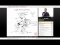 Microscope Function and Magnification